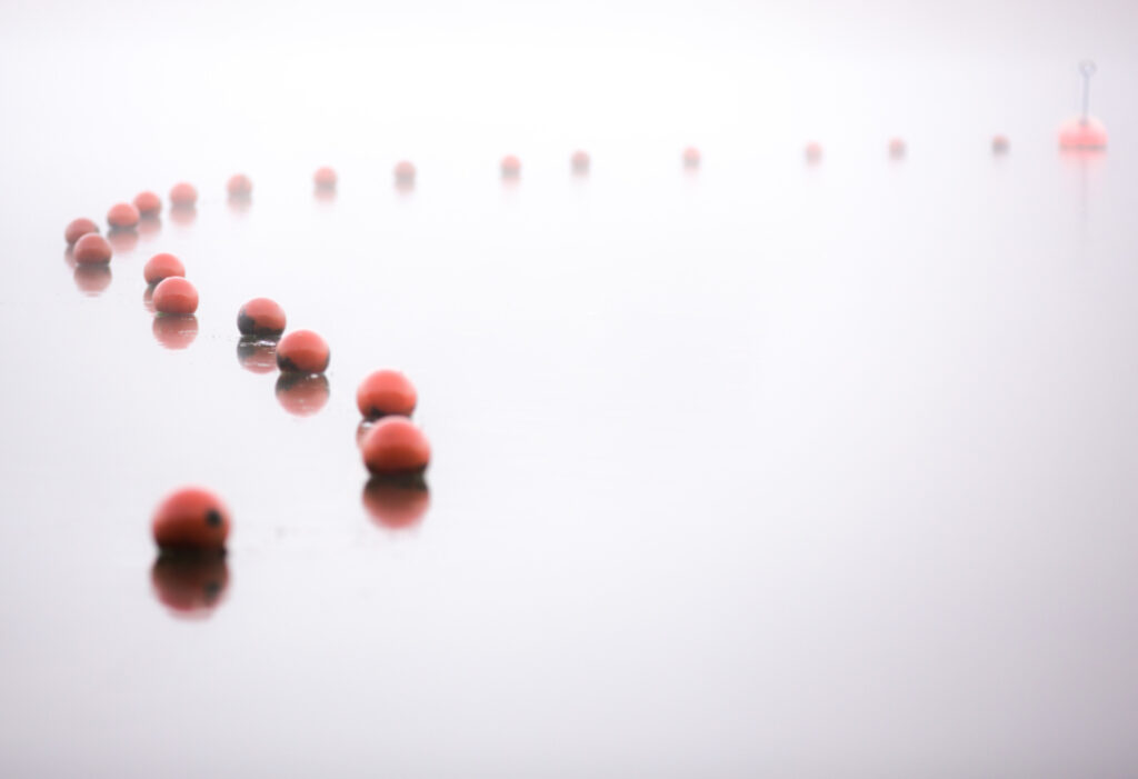 Eltern – Vom Kontakt zur Kooperation – in Präsenz