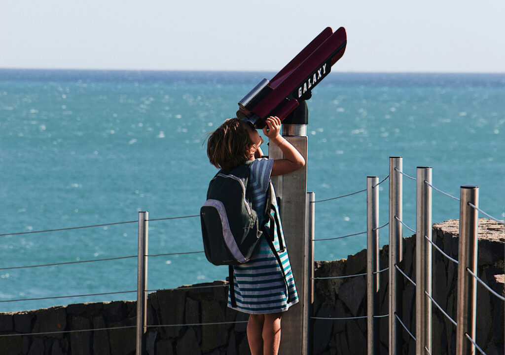 Übergänge von Pflegekindern verstehen - online